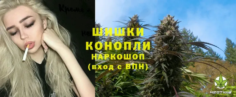 Каннабис OG Kush  как найти закладки  Куртамыш 